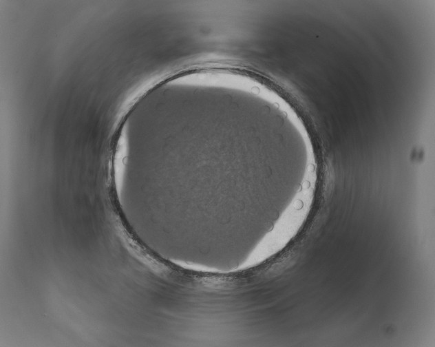 X0000111581413200908271025