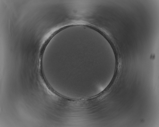 X0000111581414200908271025