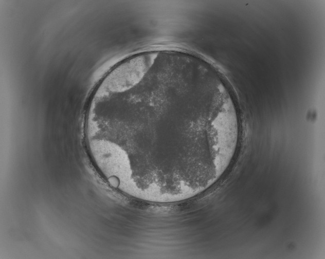 X0000111581415200908271025