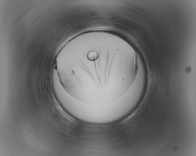 X0000111581417200908271025