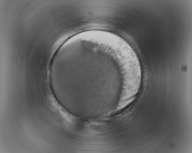 X0000111581419200908271025