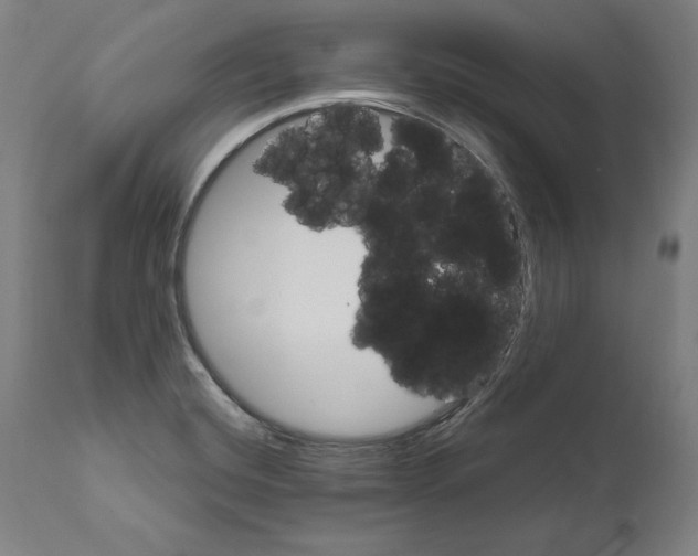 X0000111581420200908271025