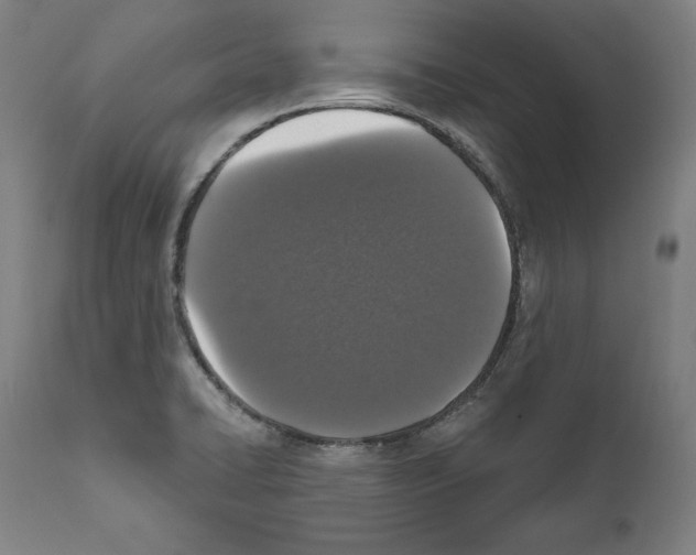 X0000111581422200908271025