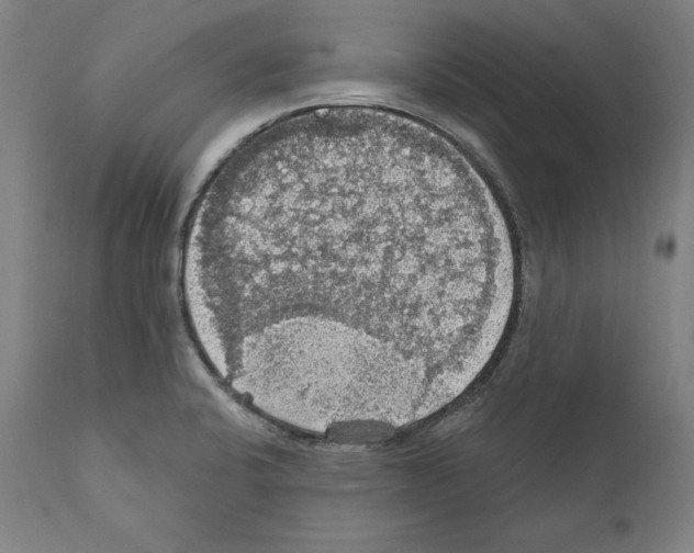 X0000111581424200908271025