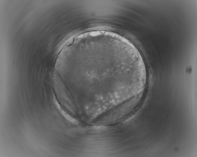 X0000111581425200908271025