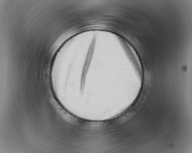 X0000111581426200908271025