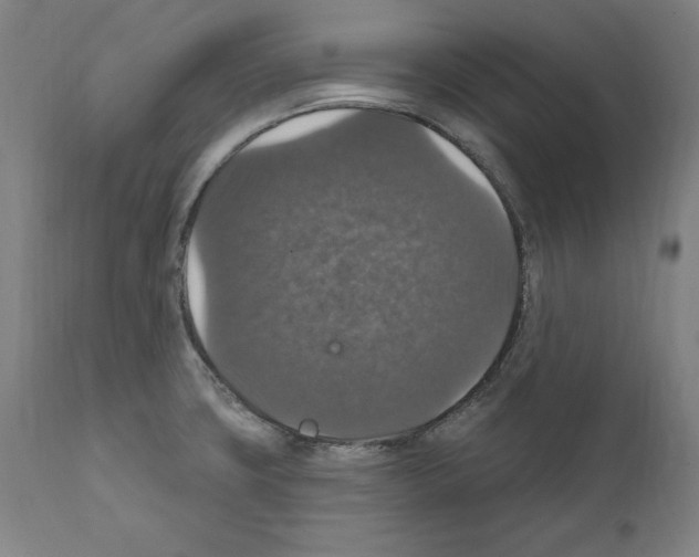 X0000111581427200908271025