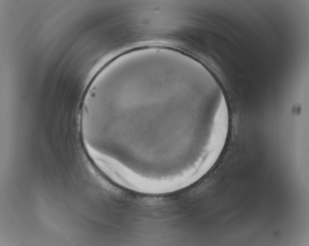 X0000111581428200908271025