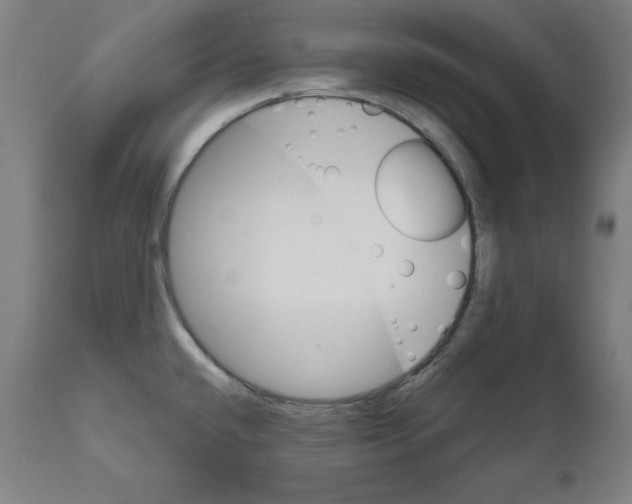 X0000111581432200908271025