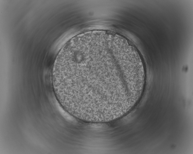 X0000111581433200908271025