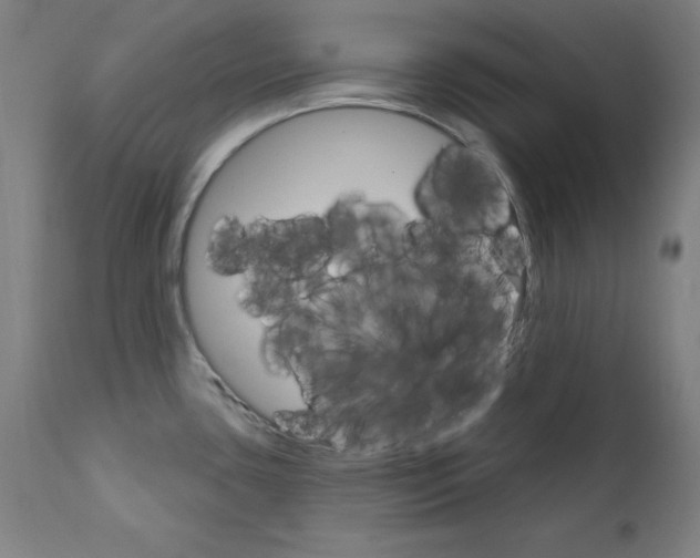 X0000111581435200908271025