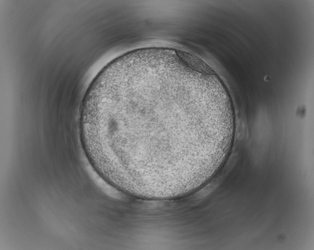 X0000111581438200908271025