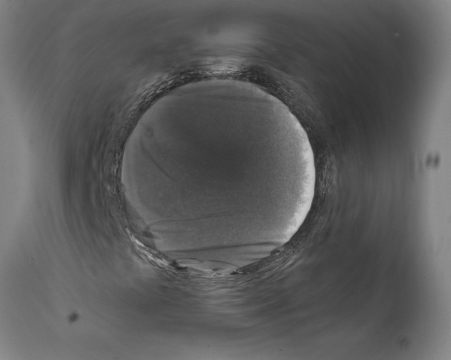 X0000111581441200908271024