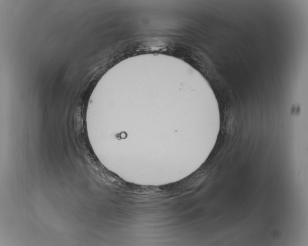 X0000111581442200908271024