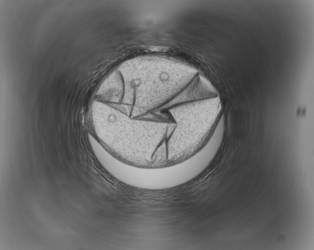 X0000111581443200908271024