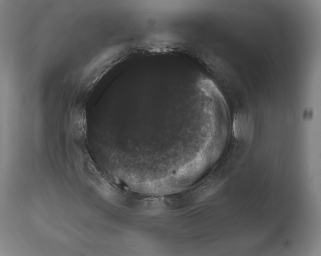 X0000111581444200908271024