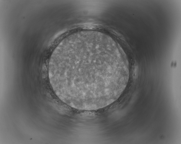 X0000111581446200908271024