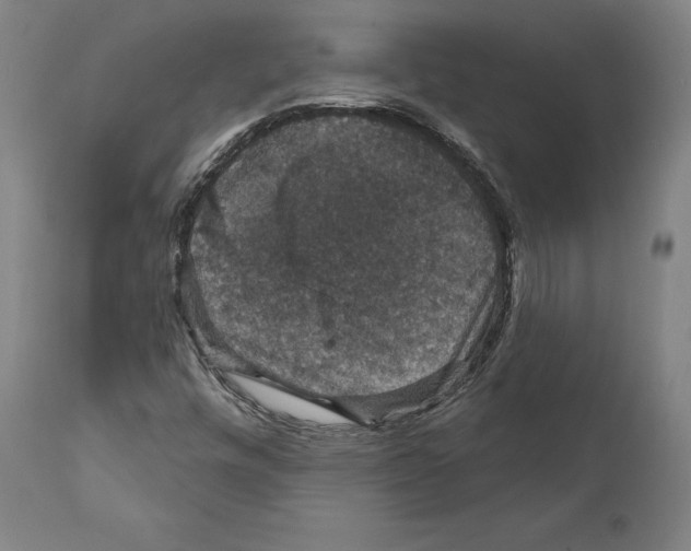 X0000111581448200908271024