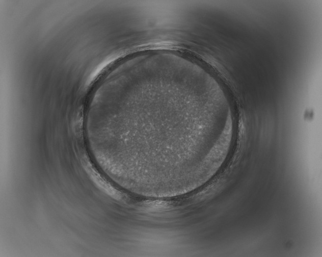 X0000111581450200908271024