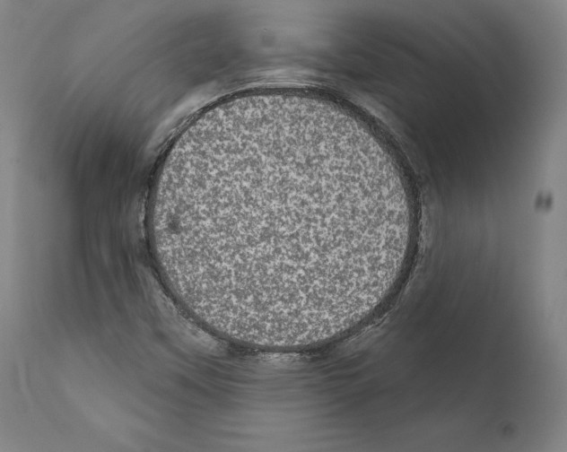 X0000111581451200908271024