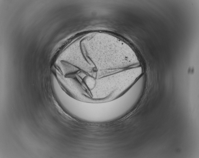 X0000111581452200908271024