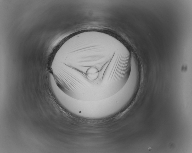 X0000111581453200908271024