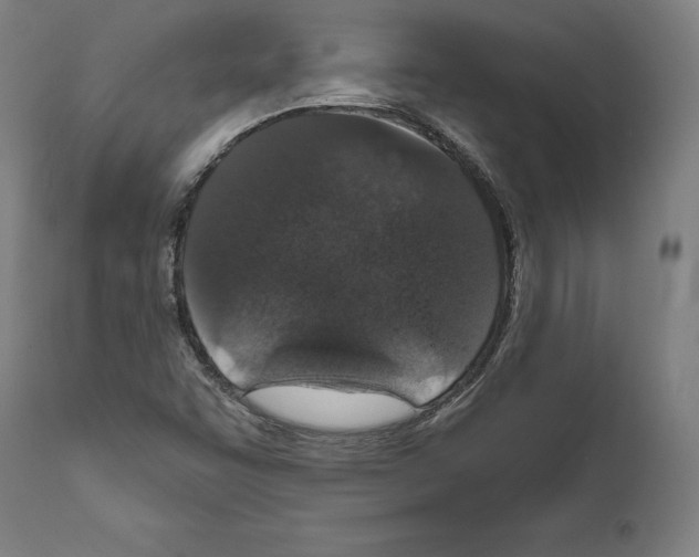 X0000111581455200908271024