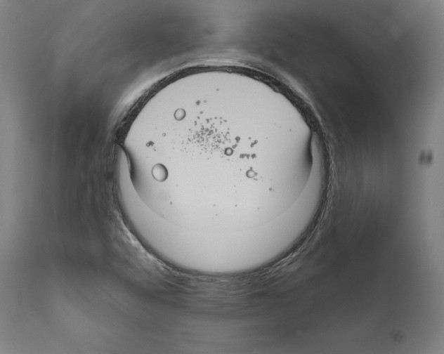 X0000111581456200908271024