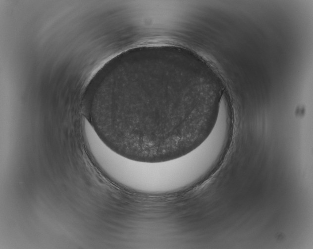 X0000111581457200908271024