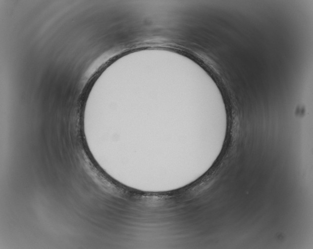 X0000111581458200908271024