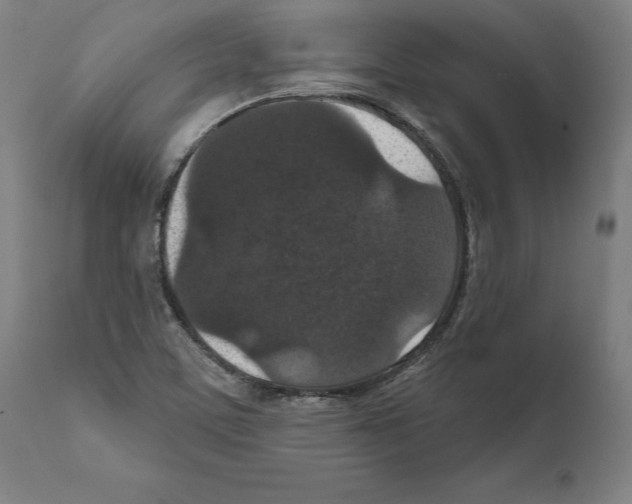 X0000111581459200908271024