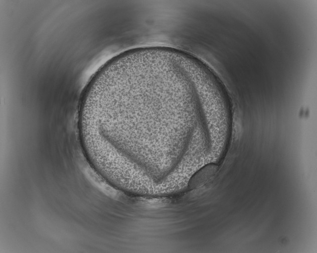 X0000111581460200908271024