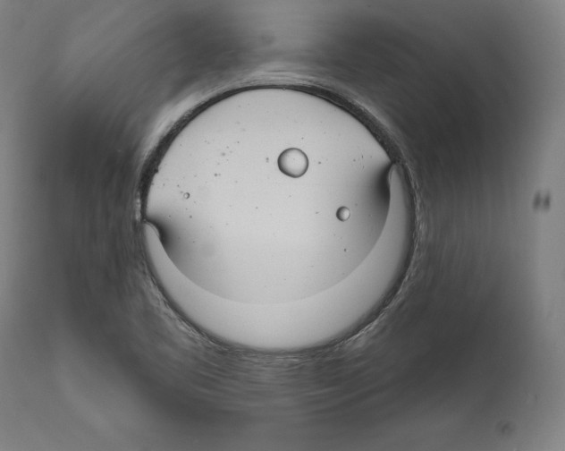 X0000111581461200908271024