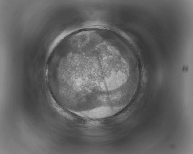 X0000111581462200908271024