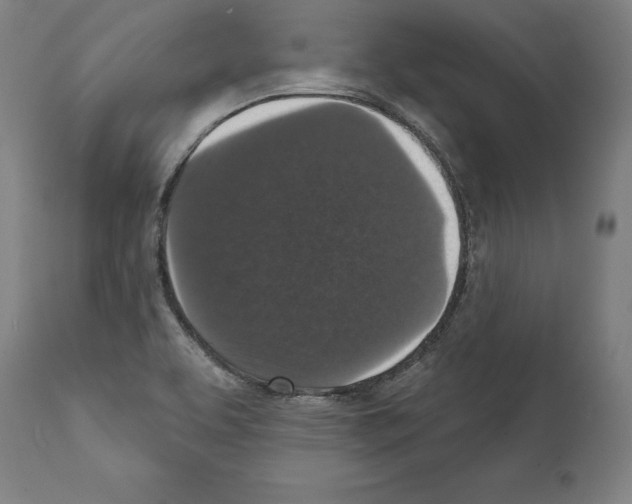 X0000111581463200908271024