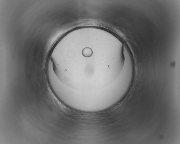 X0000111581464200908271024