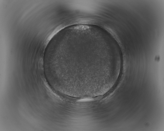 X0000111581465200908271024