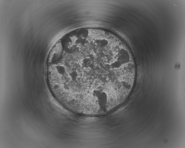 X0000111581467200908271024