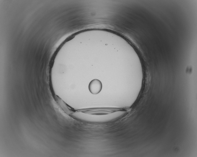 X0000111581468200908271024