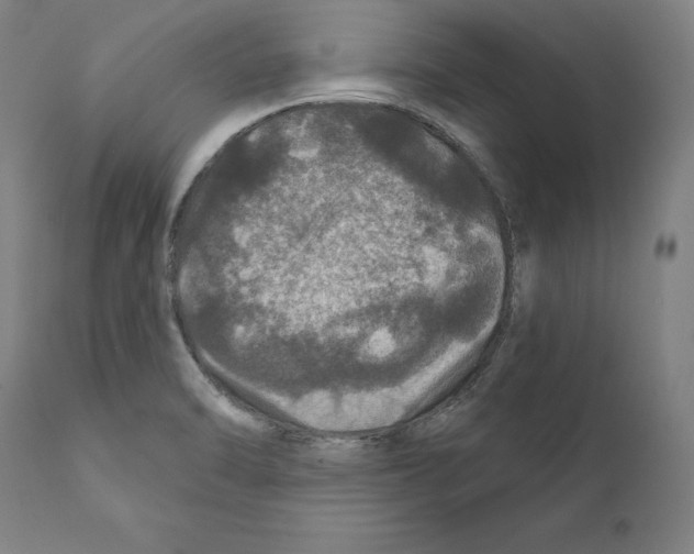 X0000111581470200908271024