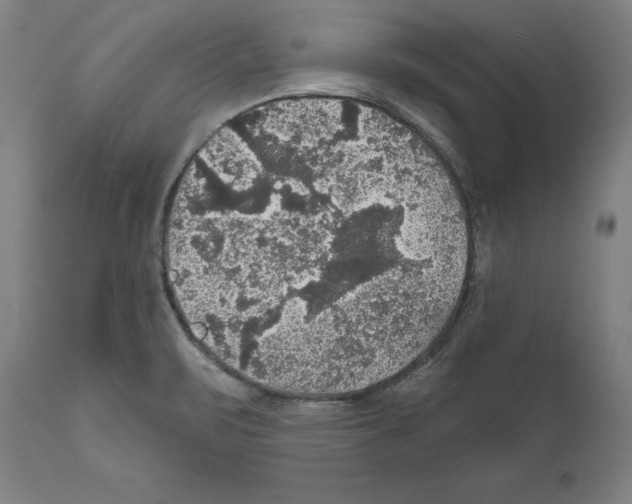 X0000111581471200908271024