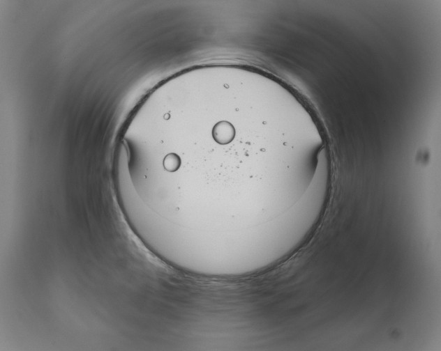 X0000111581472200908271024