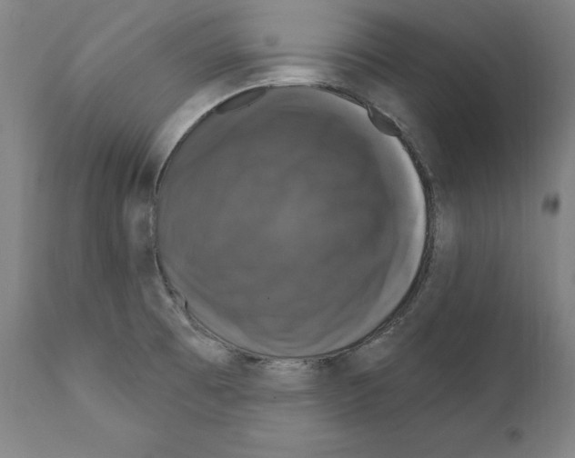 X0000111581473200908271024