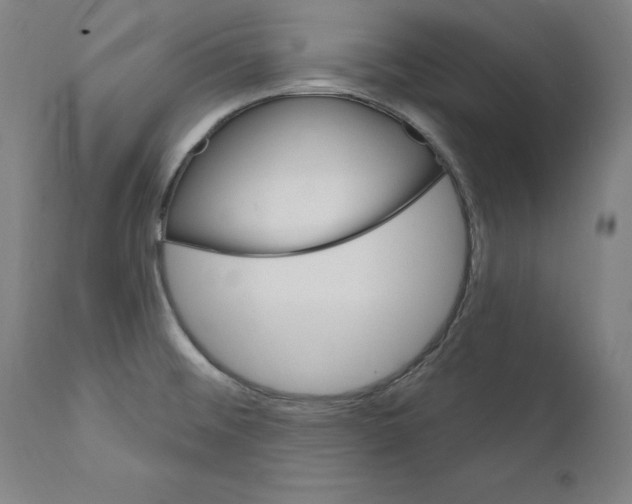 X0000111581476200908271024