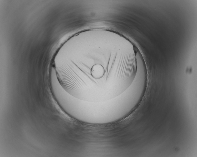 X0000111581477200908271024