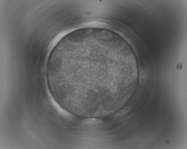 X0000111581478200908271024