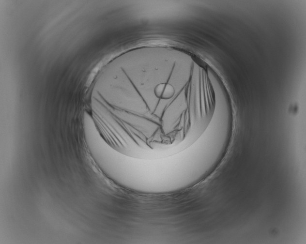 X0000111581481200908271024