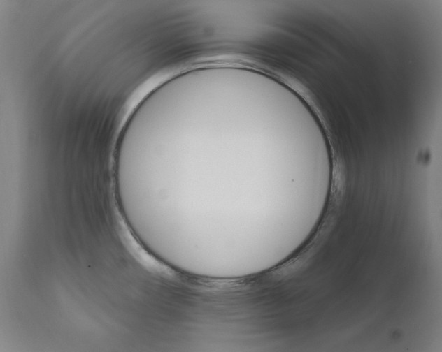 X0000111581482200908271024