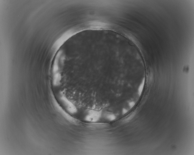 X0000111581487200908271024