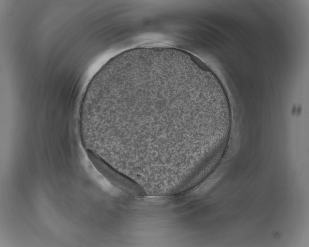 X0000111581488200908271024